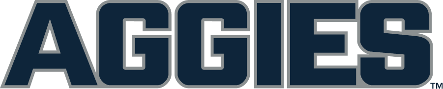 Utah State Aggies 2019-Pres Wordmark Logo iron on transfers for clothing